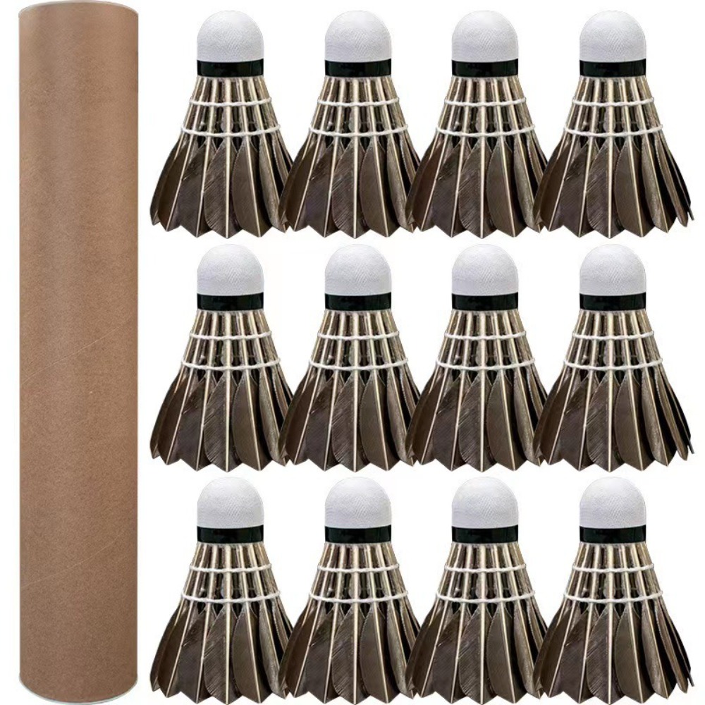 3/6/12Pcs Household Sport Trai – Badminton House Bewertung und Preis
