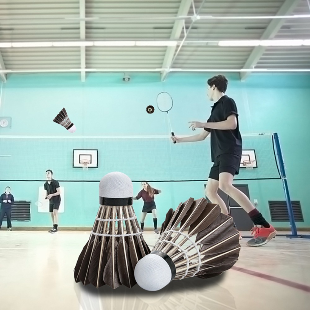 3/6/12Pcs Household Sport Trai – Badminton House Bewertung und Preis