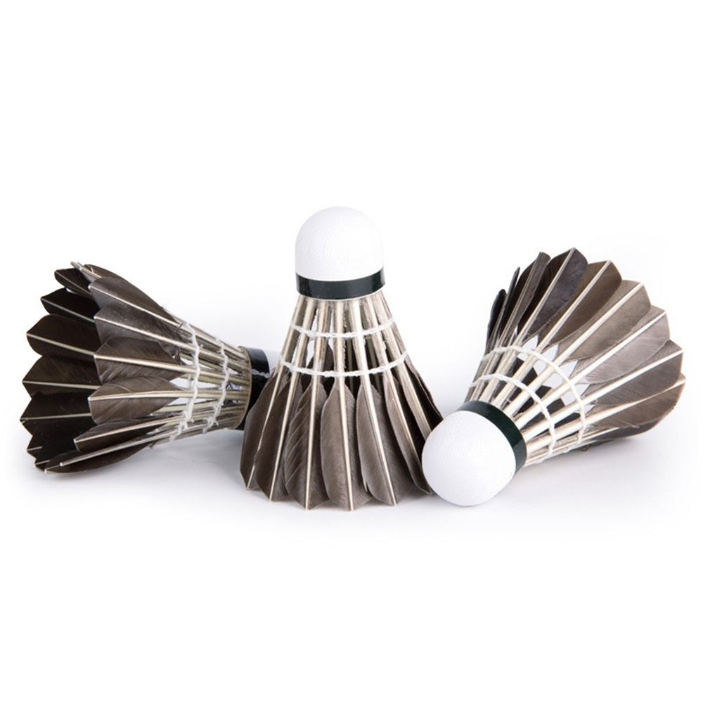 3/6/12Pcs Household Sport Trai – Badminton House Bewertung und Preis