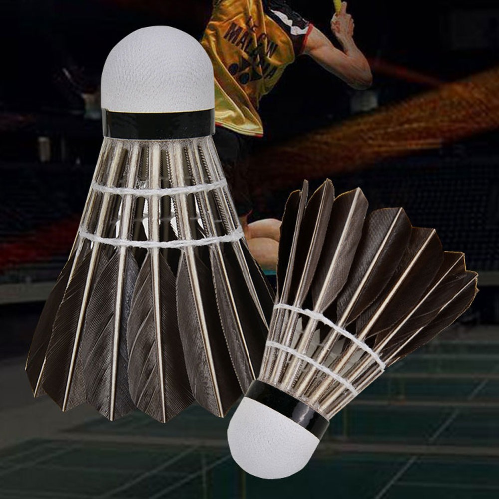 3/6/12Pcs Household Sport Trai – Badminton House Bewertung und Preis
