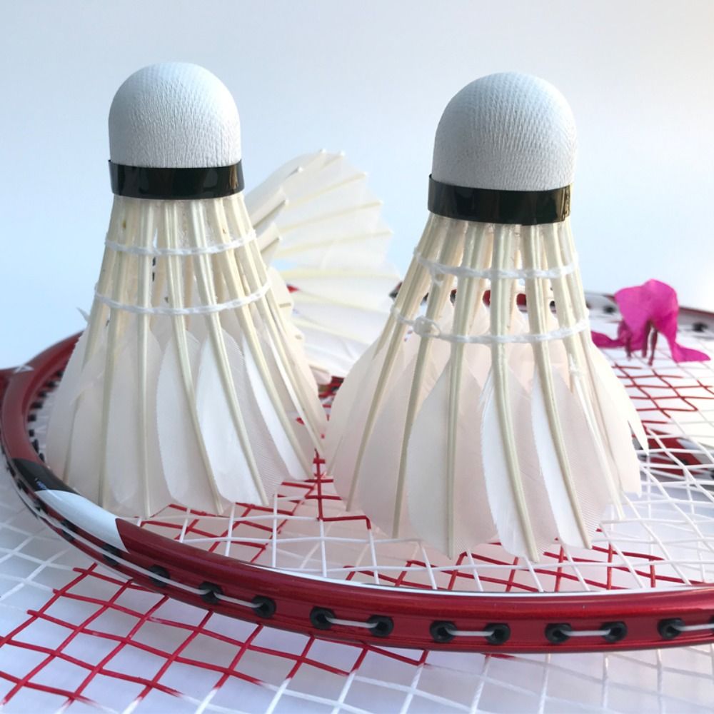 3/6/12Pcs New White Badminton  – Badminton House Bewertung und Preis
