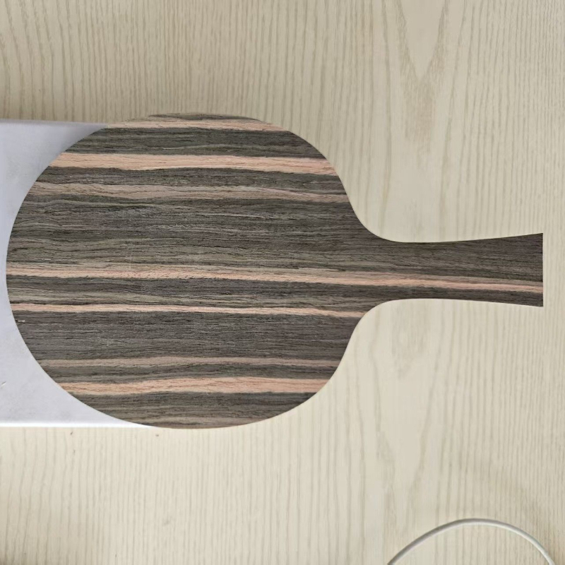 DIY FL/CS Table Tennis Racket  – Badminton Background Bewertung und Preis